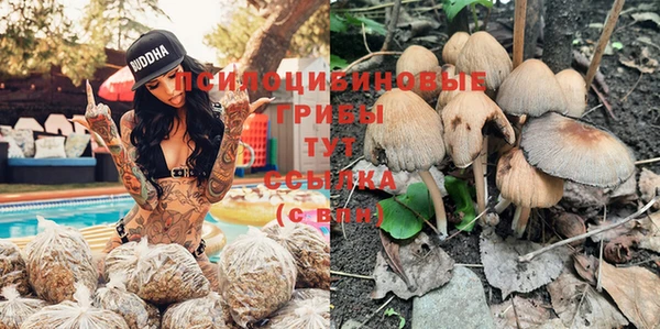 PSILOCYBIN Шадринск
